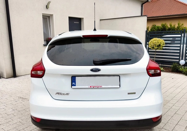 Ford Focus cena 32900 przebieg: 180000, rok produkcji 2016 z Poznań małe 436